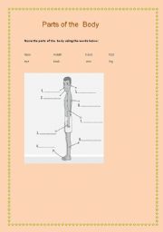 English worksheet: Parts of the body