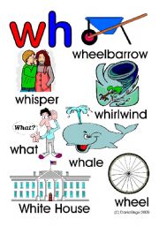 English Worksheet: Wh What teaching resources: 7 worksheets