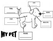 English Worksheet: A Pet and its parts!