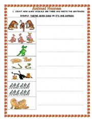 English Worksheet: animal homes