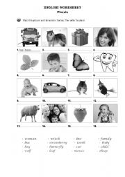 English Worksheet: Plurals