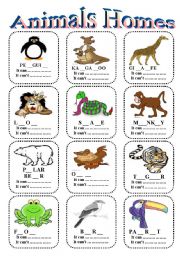 English Worksheet: animal homes
