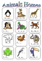 English Worksheet: animal homes