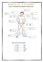 English Worksheet: Parts of the body