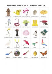 English Worksheet: Spring Bingo