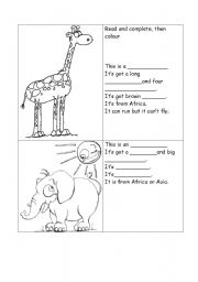 English Worksheet: Animals