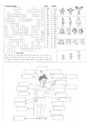 Body parts crosswords and matching activities