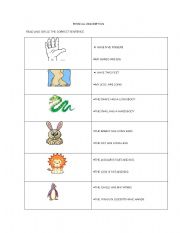 English worksheet: PHYSICAL DESCRIPTION 