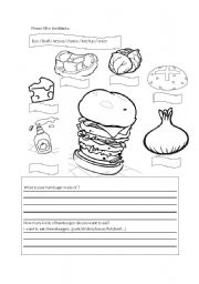 English Worksheet: Hamburger