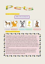 English Worksheet: pets