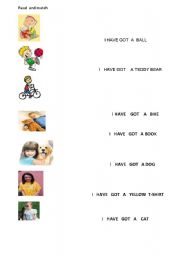 English Worksheet: I HAVE GOT