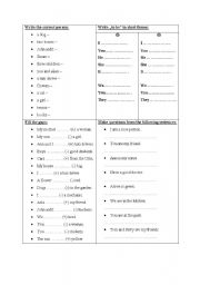 English Worksheet: 