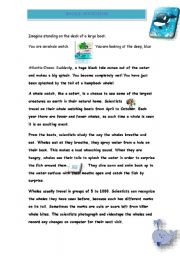 English Worksheet: whale watching