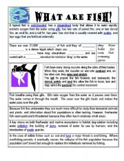 Comprehension Activity - Fish