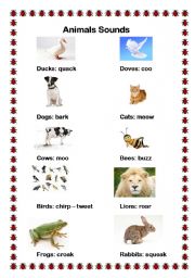 English Worksheet: Animals sounds