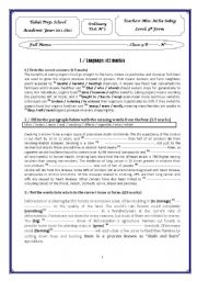 English Worksheet: Ordinary Test