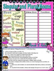 English Worksheet: Singular and Plural Nouns