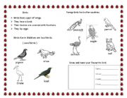 English Worksheet: birds