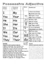 English Worksheet: Possessive Adjective