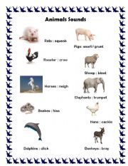 English Worksheet: Animals sounds 2