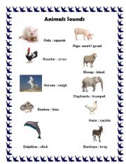 English worksheet: Animals sounds 2