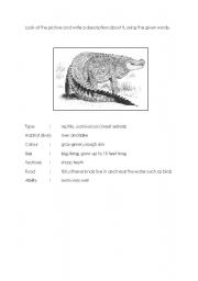 English Worksheet: descriptive writing