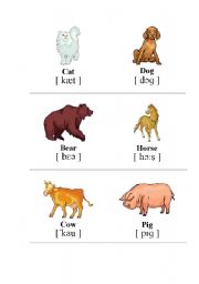English Worksheet: Animals