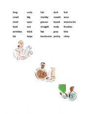 English Worksheet: Physical Appearance