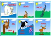 --- WILD ANIMALS --- FLASHCARDS 1/3