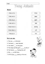 English worksheet: Young animals