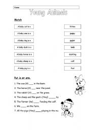 English worksheet: Young Animals 2