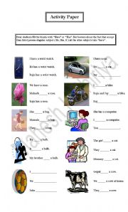 English Worksheet: Have and Has Activity