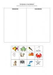 English Worksheet: Vertebrate of Invertebrate?