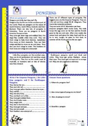 English Worksheet: PENGUINS