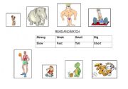 English worksheet: exercise about  some adjectives