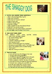 English Worksheet: THE SHAGGY DOG