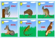 English Worksheet: --- WILD ANIMALS --- FLASHCARDS 3/3