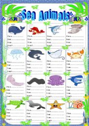 sea animals