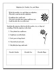 English worksheet: adjectives in english