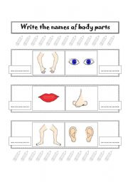 English worksheet: BODY PARTS