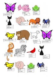 English Worksheet: Colours and animals