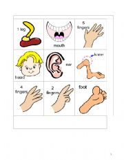 English Worksheet: bingo body parts