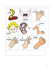 English worksheet: bingo body parts