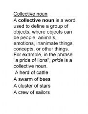English Worksheet: Collective noun