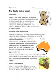 English Worksheet: the koala-is it a bear