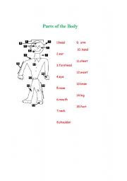 English worksheet: parts of body