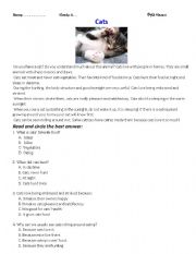 English worksheet: cats