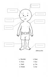 English Worksheet: calliou exercise