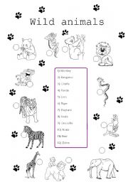 English Worksheet: wild animals