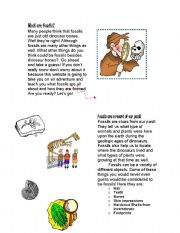 English worksheet: Fossils Guide